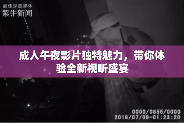 成人午夜影片独特魅力，带你体验全新视听盛宴