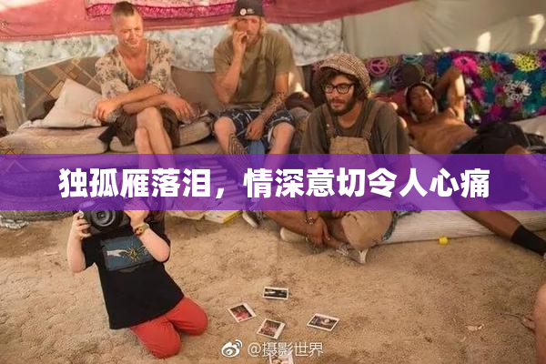 独孤雁落泪，情深意切令人心痛
