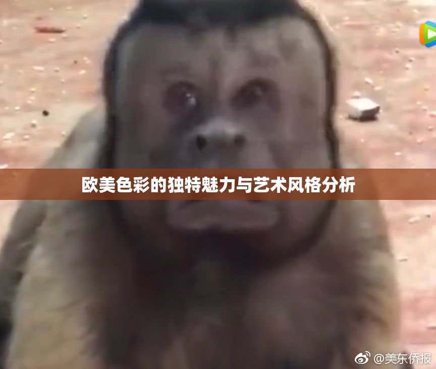 欧美色彩的独特魅力与艺术风格分析