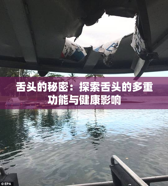 舌头的秘密：探索舌头的多重功能与健康影响