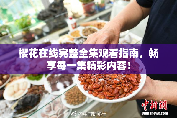 樱花在线完整全集观看指南，畅享每一集精彩内容！
