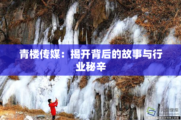 青楼传媒：揭开背后的故事与行业秘辛
