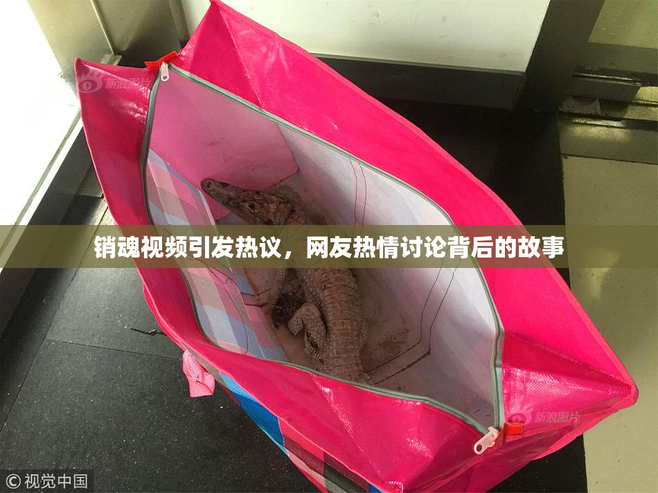 销魂视频引发热议，网友热情讨论背后的故事