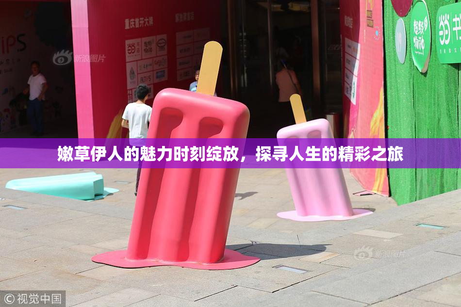 嫩草伊人的魅力时刻绽放，探寻人生的精彩之旅