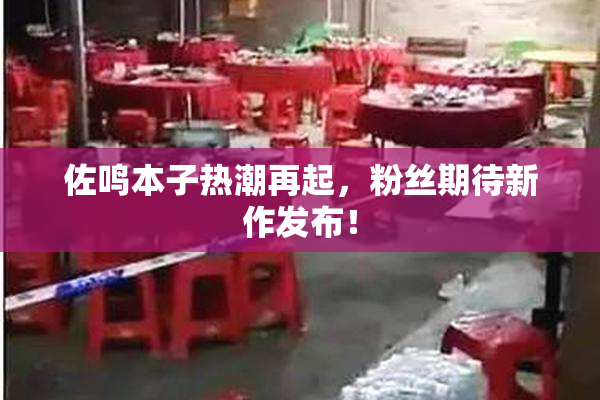 佐鸣本子热潮再起，粉丝期待新作发布！