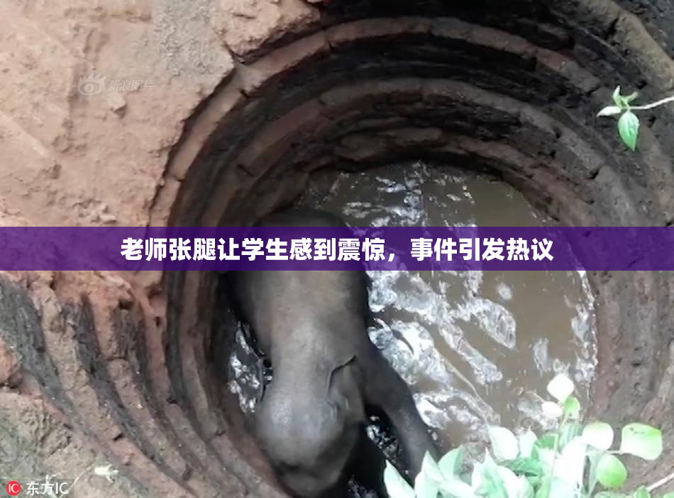老师张腿让学生感到震惊，事件引发热议