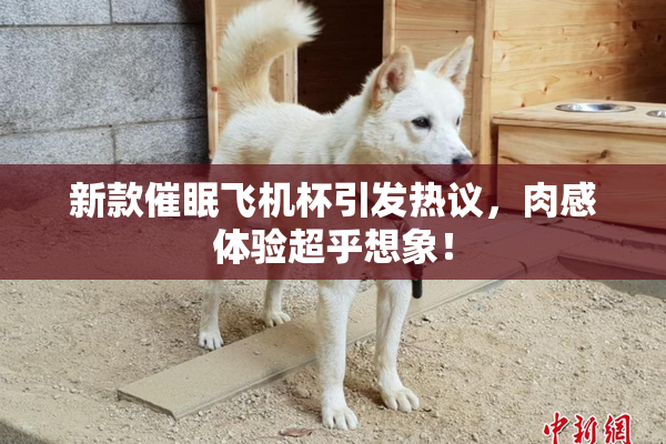 新款催眠飞机杯引发热议，肉感体验超乎想象！