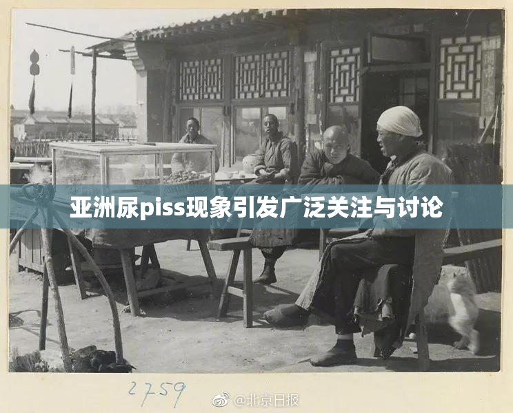 亚洲尿piss现象引发广泛关注与讨论