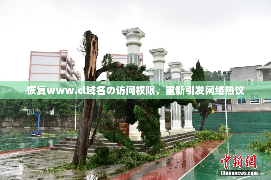 恢复www.cl域名の访问权限，重新引发网络热议