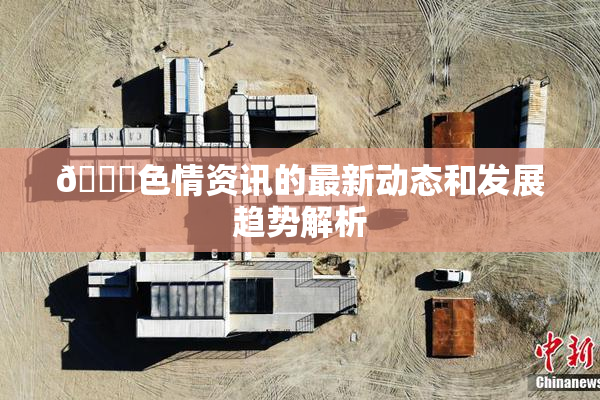 🔞色情资讯的最新动态和发展趋势解析