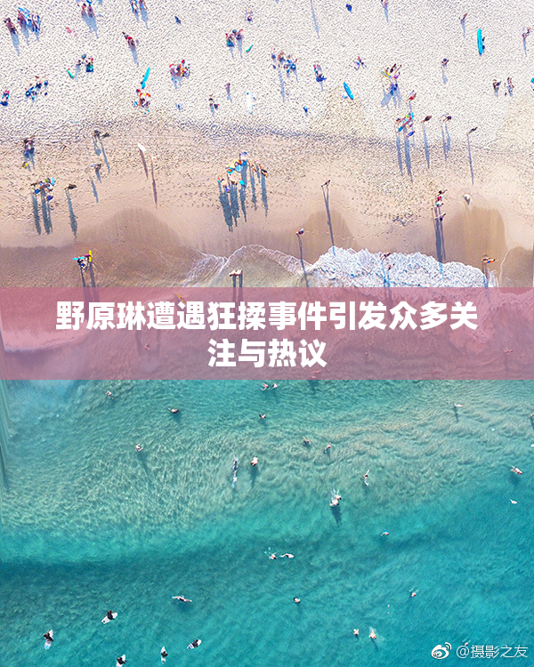 野原琳遭遇狂揉事件引发众多关注与热议
