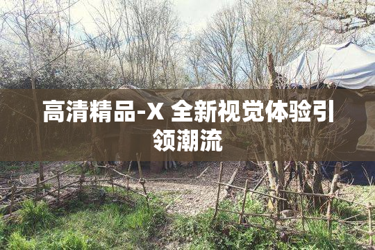 高清精品-X 全新视觉体验引领潮流
