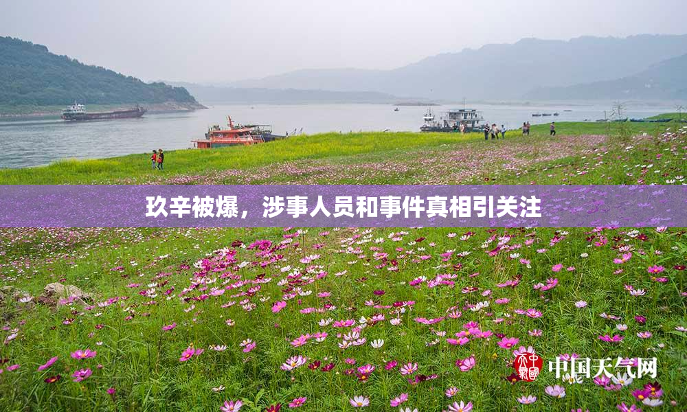 玖辛被爆，涉事人员和事件真相引关注