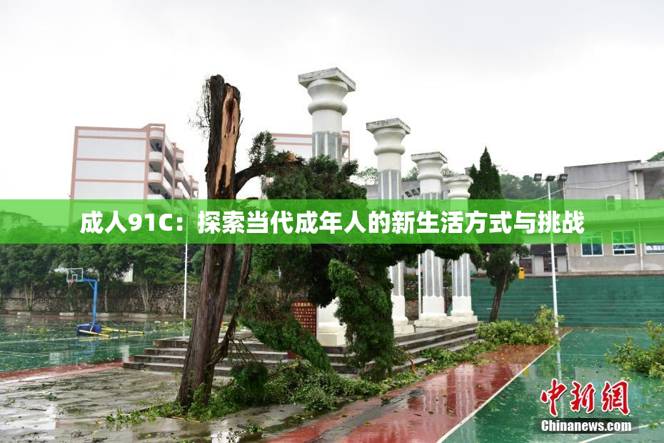 成人91C：探索当代成年人的新生活方式与挑战