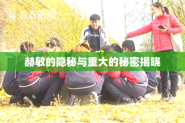 赫敏的隐秘与重大的秘密揭晓