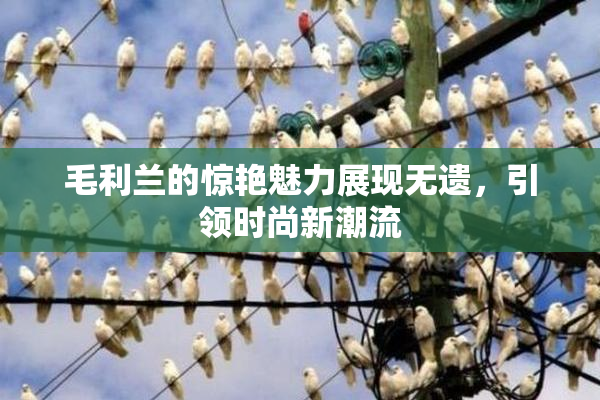 毛利兰的惊艳魅力展现无遗，引领时尚新潮流