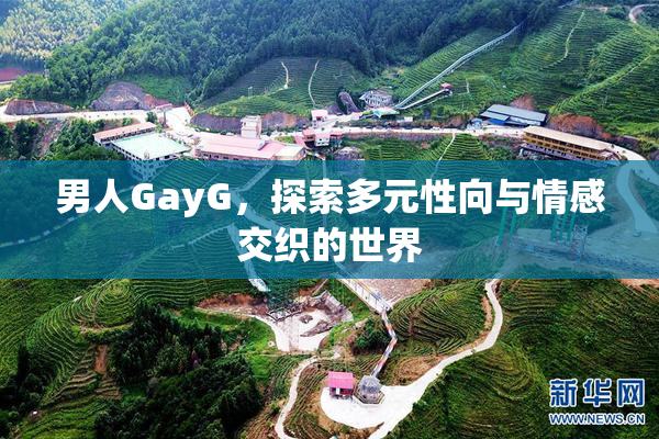 男人GayG，探索多元性向与情感交织的世界