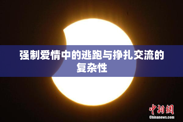 强制爱情中的逃跑与挣扎交流的复杂性