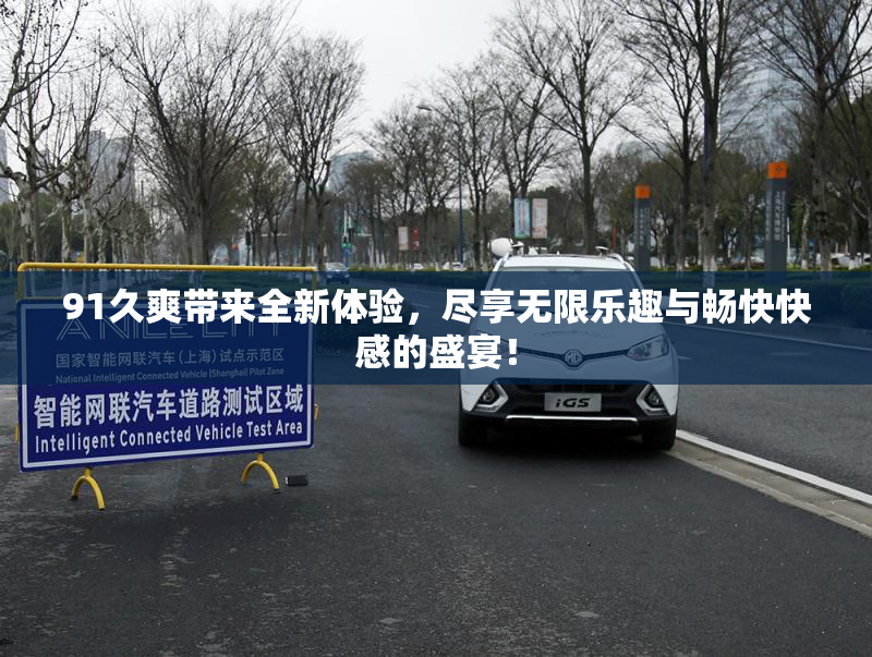 91久爽带来全新体验，尽享无限乐趣与畅快快感的盛宴！