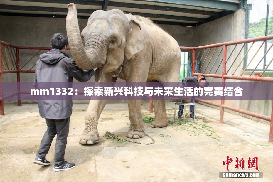 mm1332：探索新兴科技与未来生活的完美结合