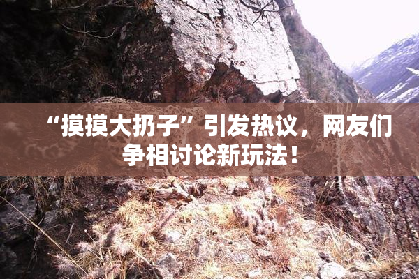“摸摸大扔子”引发热议，网友们争相讨论新玩法！