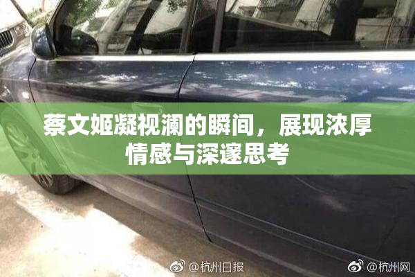 蔡文姬凝视澜的瞬间，展现浓厚情感与深邃思考