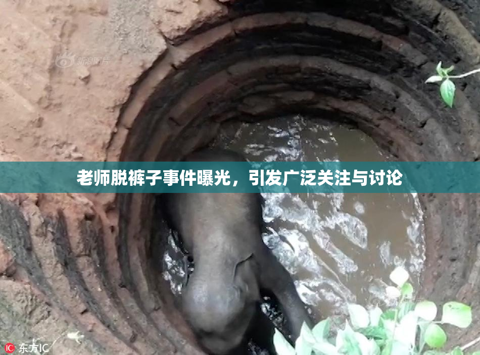 老师脱裤子事件曝光，引发广泛关注与讨论