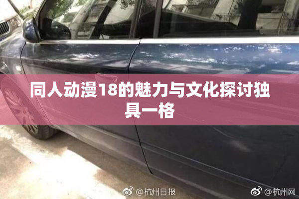 同人动漫18的魅力与文化探讨独具一格
