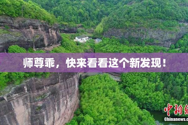师尊乖，快来看看这个新发现！