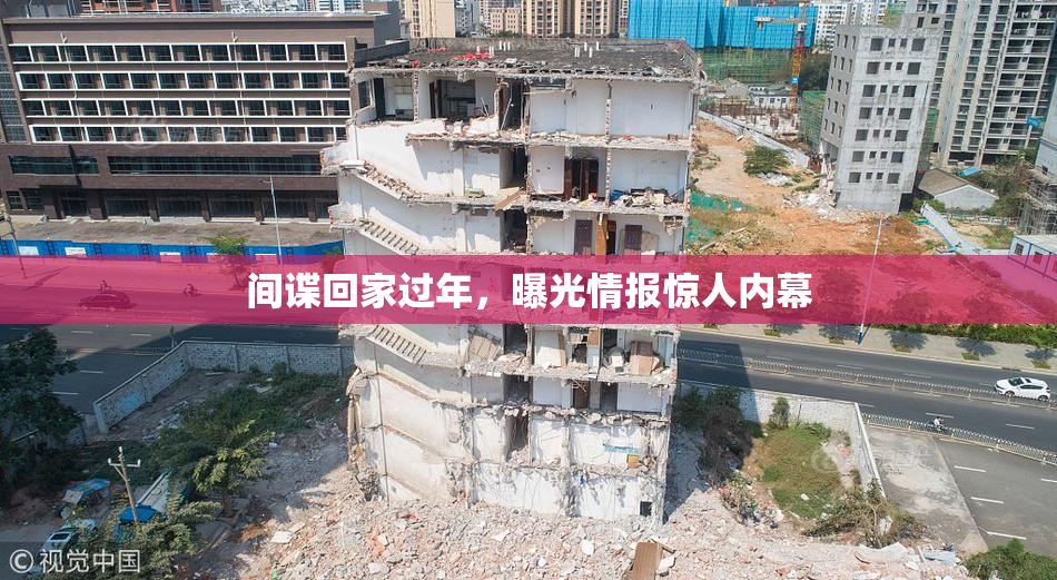 间谍回家过年，曝光情报惊人内幕