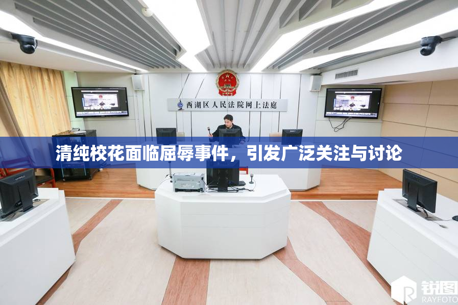 清纯校花面临屈辱事件，引发广泛关注与讨论
