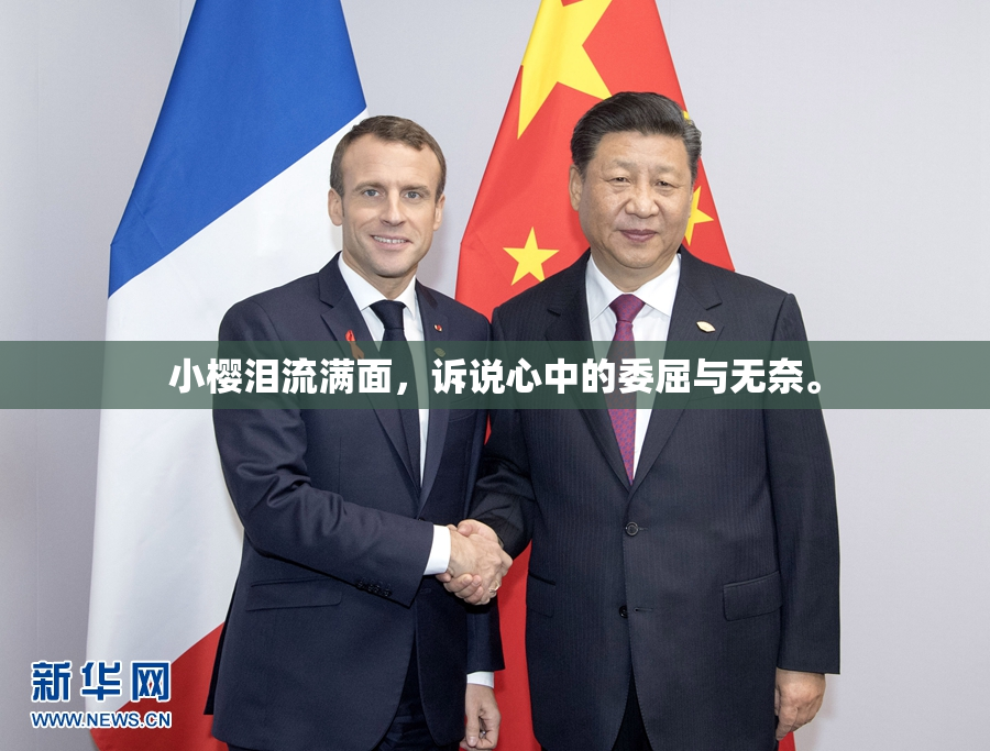 小樱泪流满面，诉说心中的委屈与无奈。