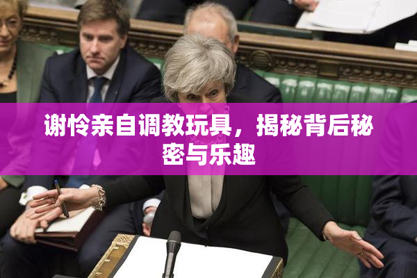 谢怜亲自调教玩具，揭秘背后秘密与乐趣