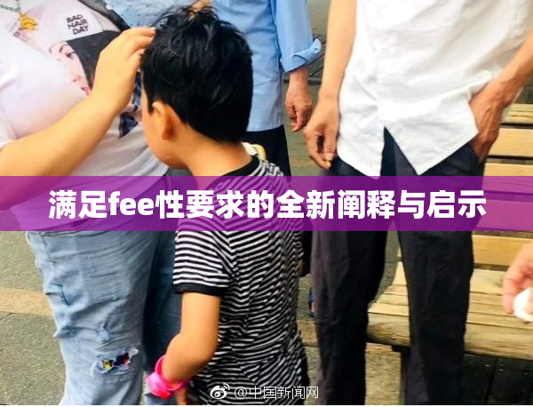 满足fee性要求的全新阐释与启示