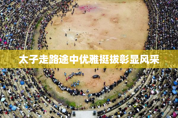 太子走路途中优雅挺拔彰显风采