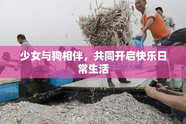 少女与狗相伴，共同开启快乐日常生活