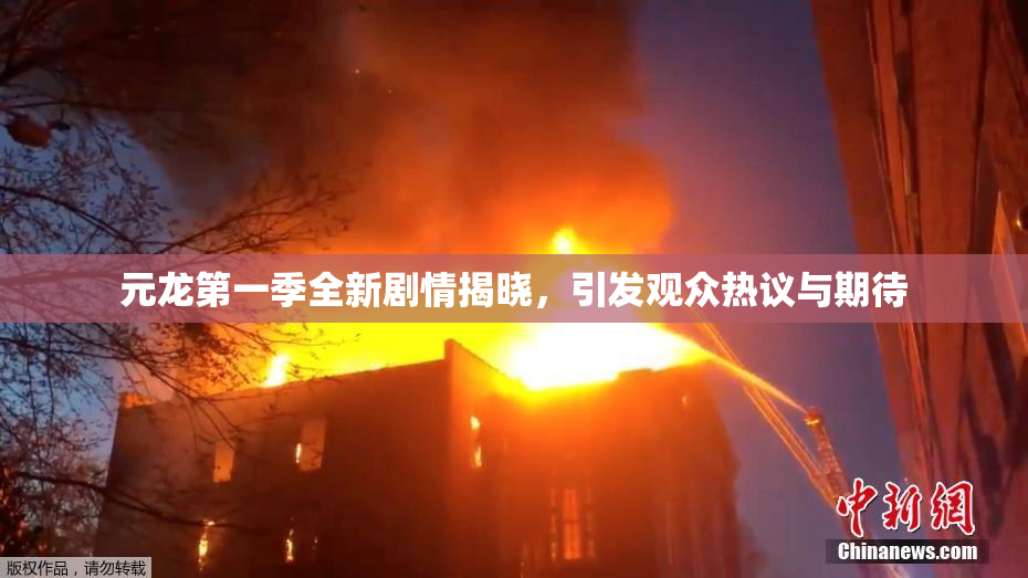 元龙第一季全新剧情揭晓，引发观众热议与期待