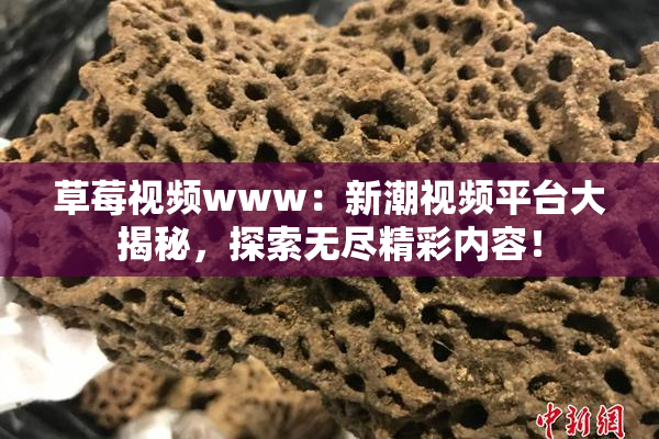 草莓视频www：新潮视频平台大揭秘，探索无尽精彩内容！