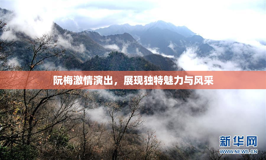 阮梅激情演出，展现独特魅力与风采