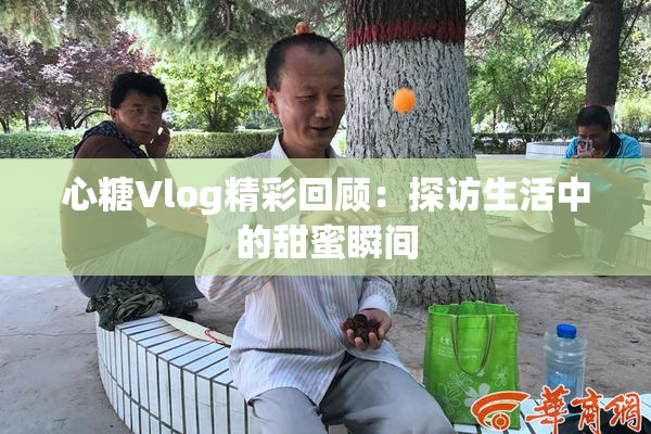 心糖Vlog精彩回顾：探访生活中的甜蜜瞬间
