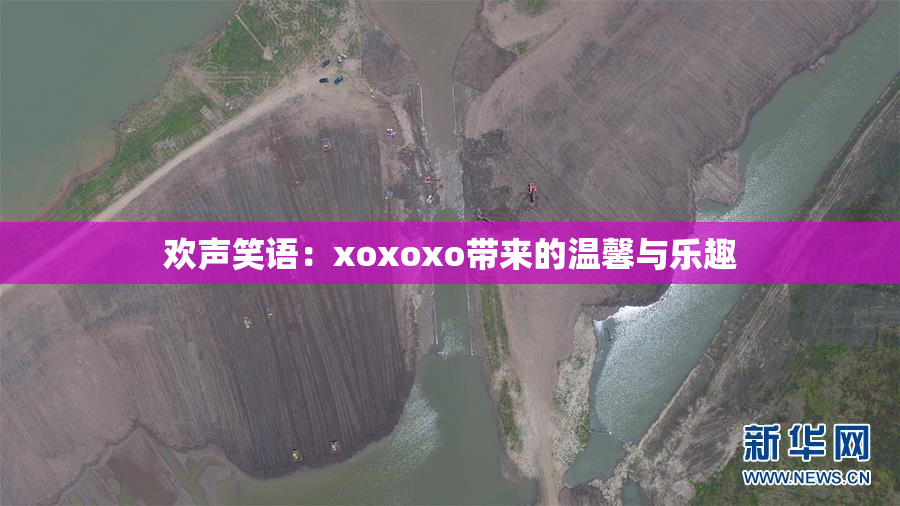 欢声笑语：xoxoxo带来的温馨与乐趣