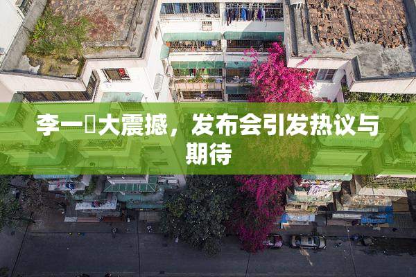 李一挏大震撼，发布会引发热议与期待