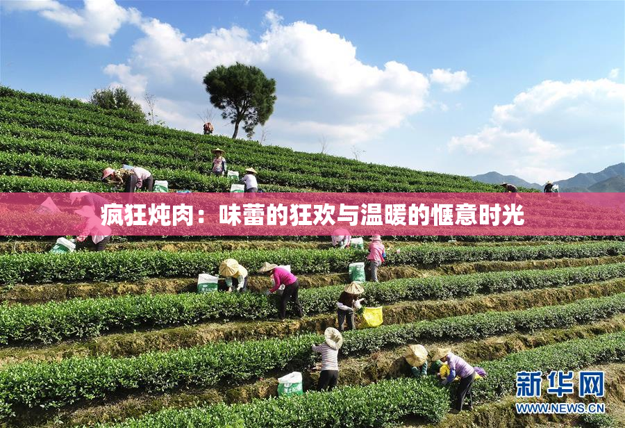 疯狂炖肉：味蕾的狂欢与温暖的惬意时光