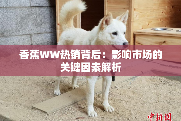 香蕉WW热销背后：影响市场的关键因素解析