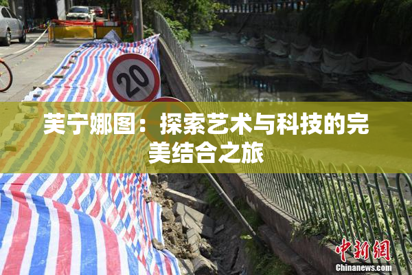 芙宁娜图：探索艺术与科技的完美结合之旅
