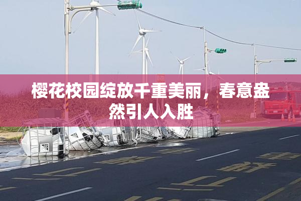 樱花校园绽放千重美丽，春意盎然引人入胜