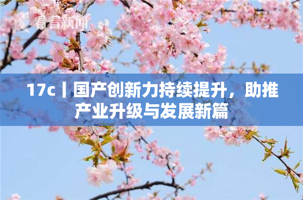 17c丨国产创新力持续提升，助推产业升级与发展新篇