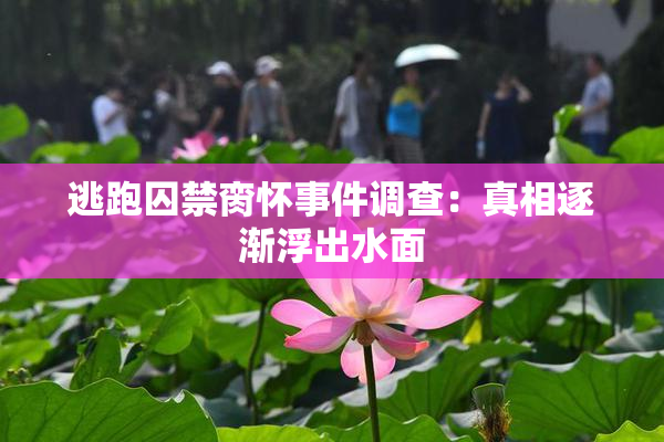 逃跑囚禁脔怀事件调查：真相逐渐浮出水面