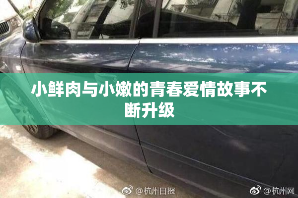 小鲜肉与小嫩的青春爱情故事不断升级