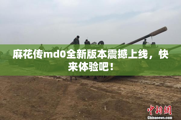 麻花传md0全新版本震撼上线，快来体验吧！
